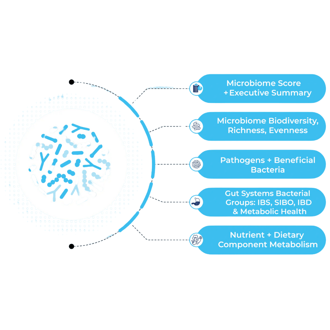 GutID test | CGI | Core Gut Insights test - Pure Nordic Health